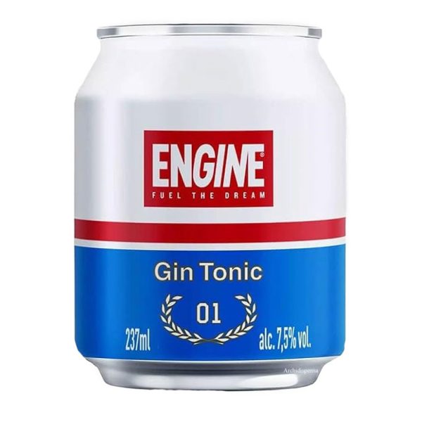Lattina di gin tonic engine ready to drink